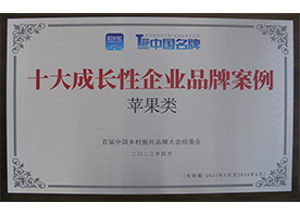 十大成長(zhǎng)性企業(yè)品牌案例（蘋(píng)果類）